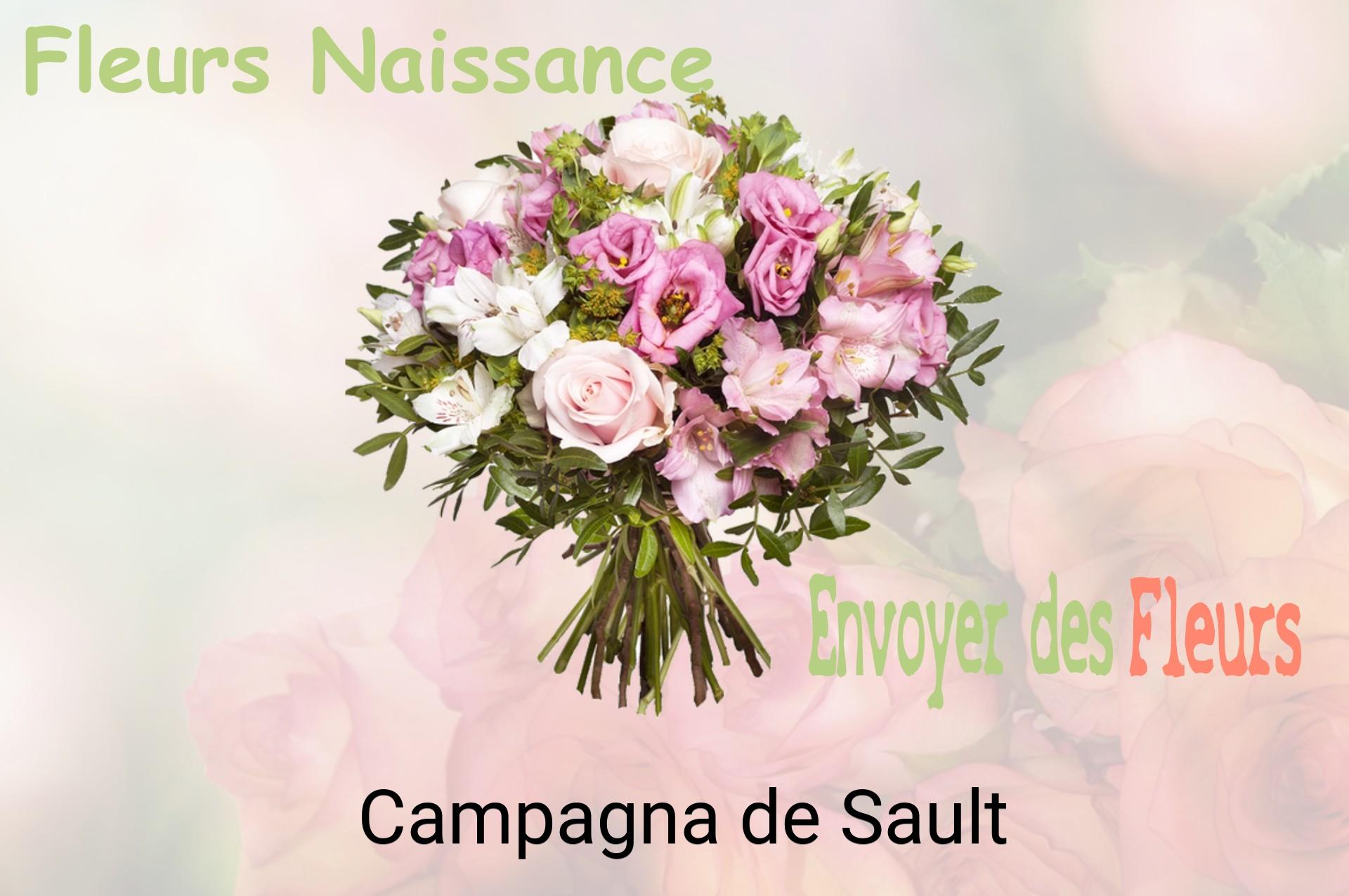 Bouquet de fleurs de naissance livré à Campagna-de-Sault